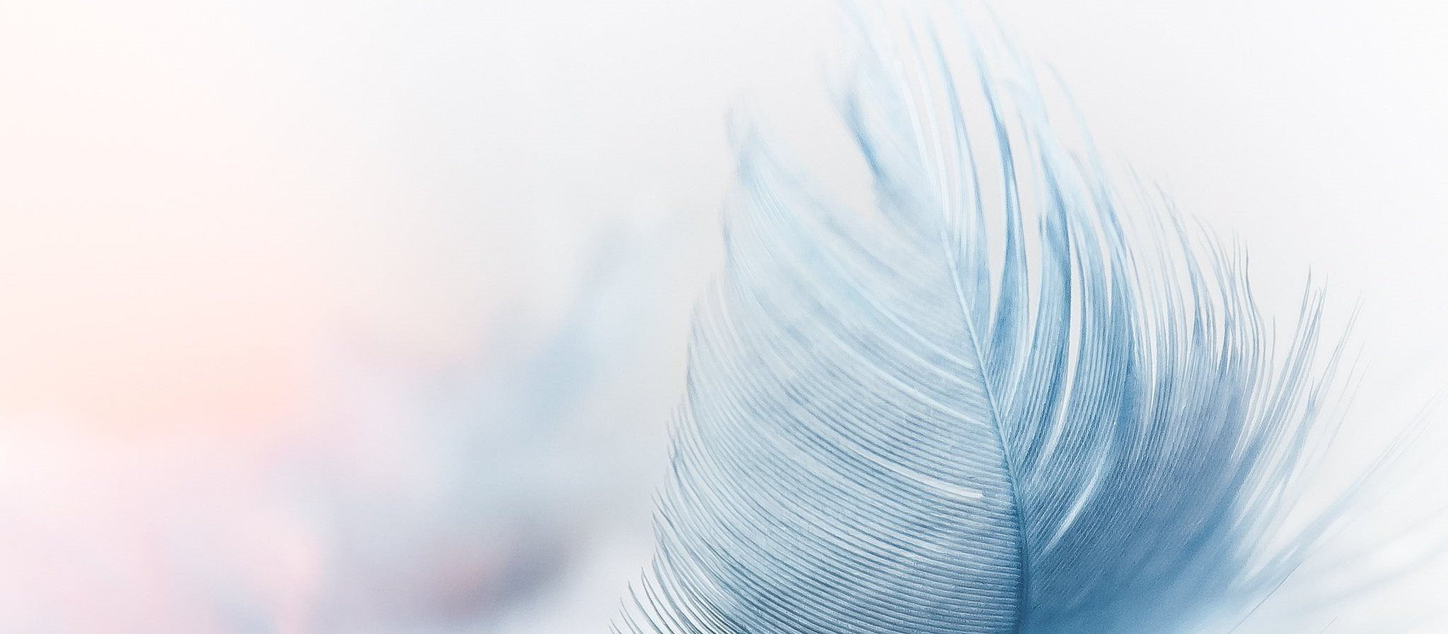 <h2>Letting&nbsp;Go</h2>
