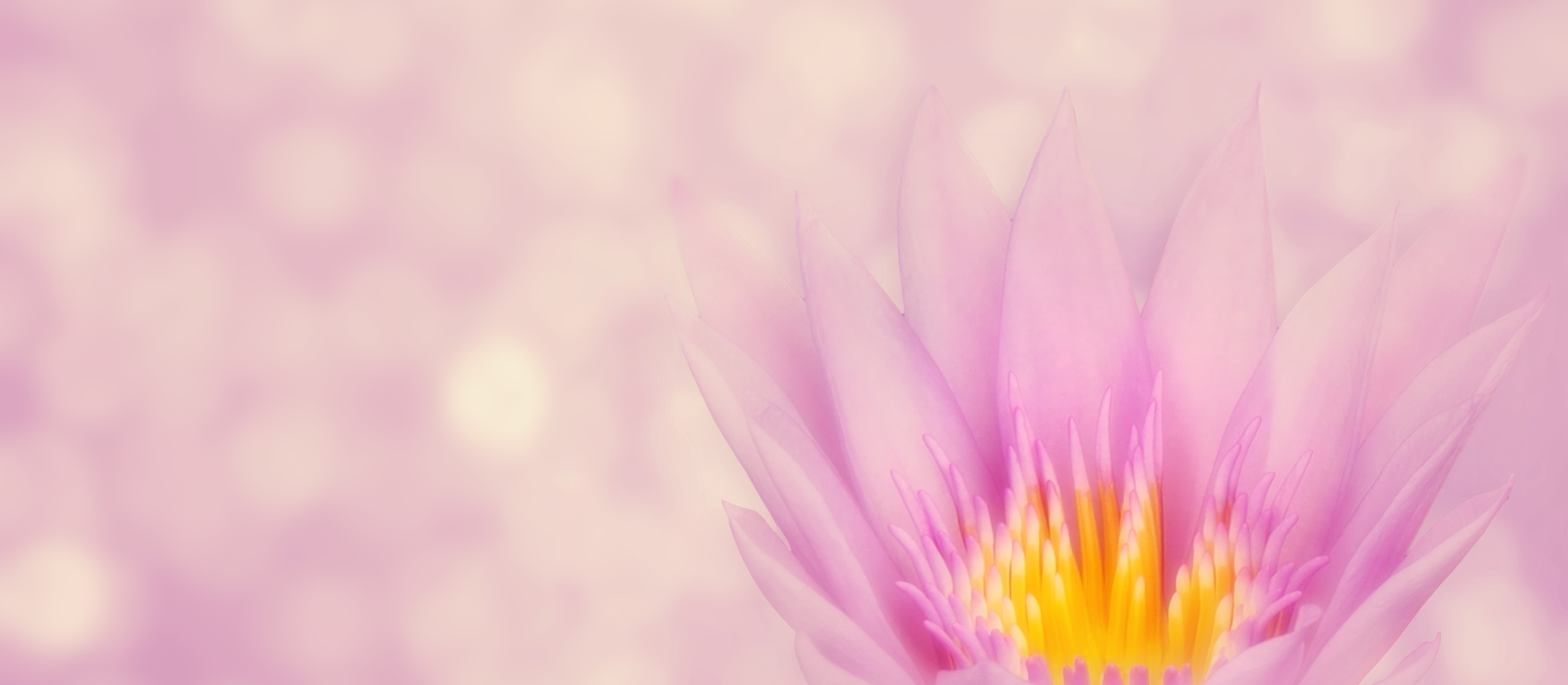 <h2>Each moment has to be taken as if the last one,</h2>
